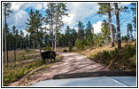 Vieh, FR284/Custer Limestone Rd, South Dakota