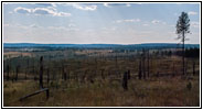 FR284/Custer Limestone Rd, South Dakota