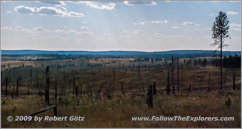 FR284/Custer Limestone Rd, South Dakota