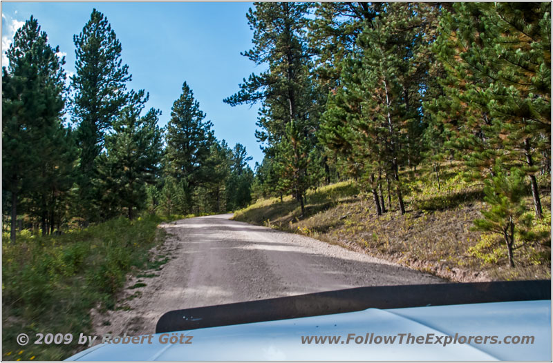 FR284/Custer Limestone Rd, South Dakota