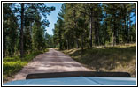FR284/Custer Limestone Rd, South Dakota