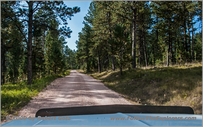 FR284/Custer Limestone Rd, South Dakota