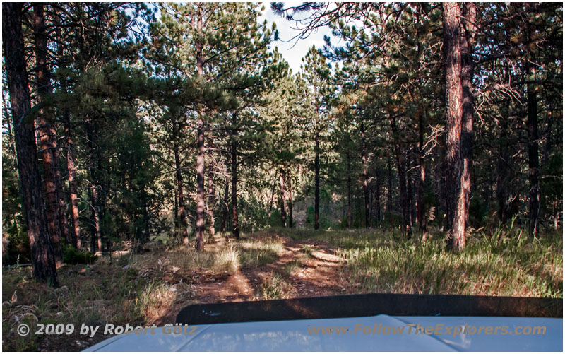 FR117 4A, South Dakota