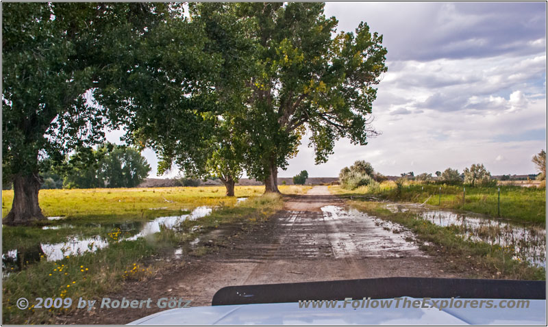 Backroad, WY Backroad, WY