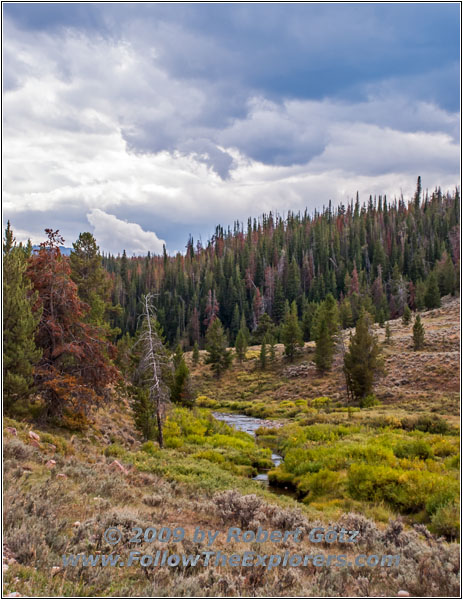 Union Pass Rd/FR263, Warm Spring Creek, Wyoming Union Pass Rd/FR263, Warm Spring Creek, Wyoming