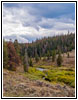Union Pass Rd/FR263, Warm Spring Creek, Wyoming