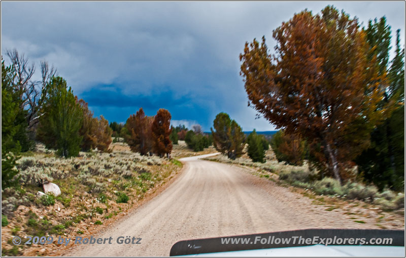 Union Pass Rd/FR263, Wyoming Union Pass Rd/FR263, Wyoming