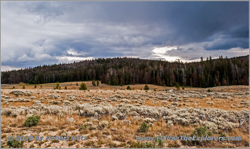 Union Pass Rd/FR263, Continental Divide, Union Pass, Wyoming Union Pass Rd/FR263, Continental Divide, Union Pass, Wyoming