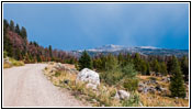 Union Pass Rd/FR600, Wyoming