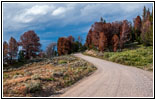 Union Pass Rd/FR600, Wyoming