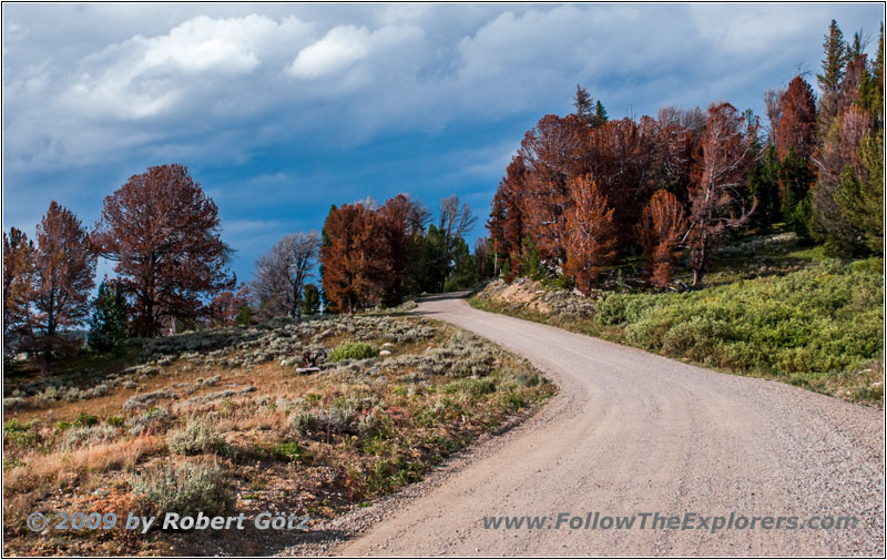 Union Pass Rd/FR600, Wyoming Union Pass Rd/FR600, Wyoming