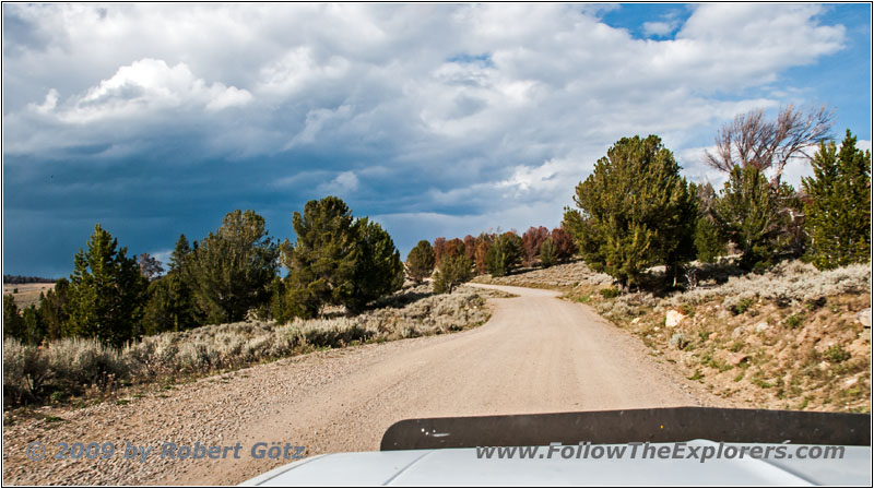Union Pass Rd/FR600, Wyoming Union Pass Rd/FR600, Wyoming