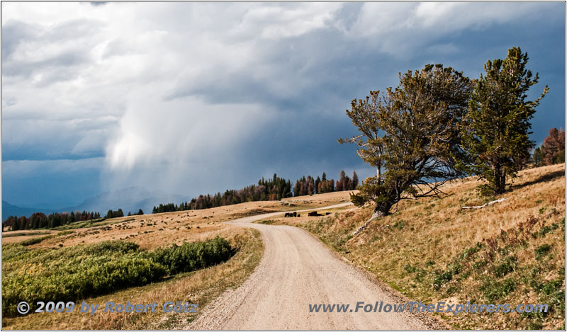 Union Pass Rd/FR263, Wyoming Union Pass Rd/FR263, Wyoming