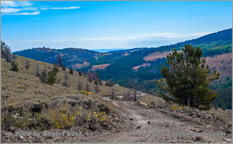 FR352/Wolf Trail, Wyoming FR352/Wolf Trail, Wyoming