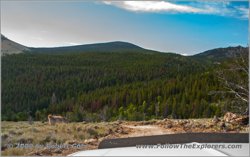 FR352/Wolf Trail, Wyoming FR352/Wolf Trail, Wyoming
