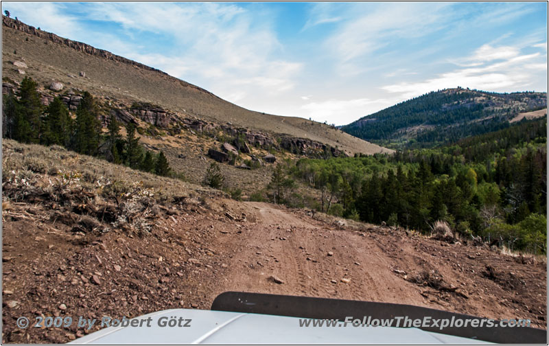 FR352/Wolf Trail, Wyoming FR352/Wolf Trail, Wyoming