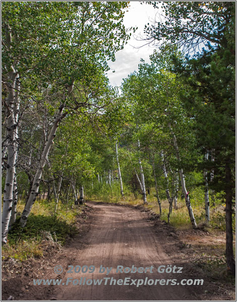 FR352/Wolf Trail, Wyoming FR352/Wolf Trail, Wyoming