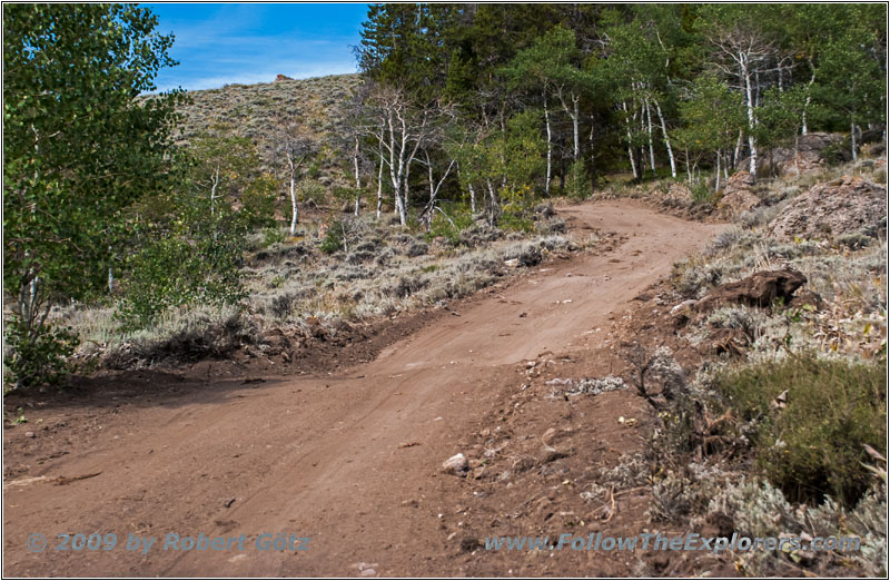 FR352/Wolf Trail, Wyoming FR352/Wolf Trail, Wyoming