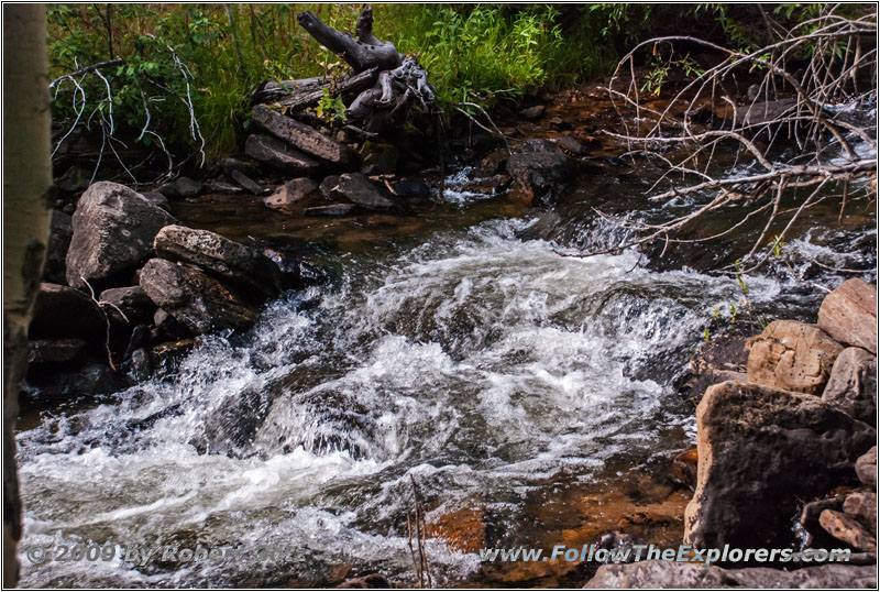 FR352/Wolf Trail, Sawmill Creek, Wyoming FR352/Wolf Trail, Sawmill Creek, Wyoming