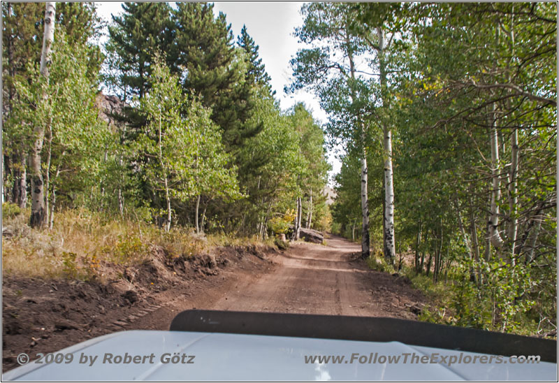 FR352/Wolf Trail, Wyoming FR352/Wolf Trail, Wyoming