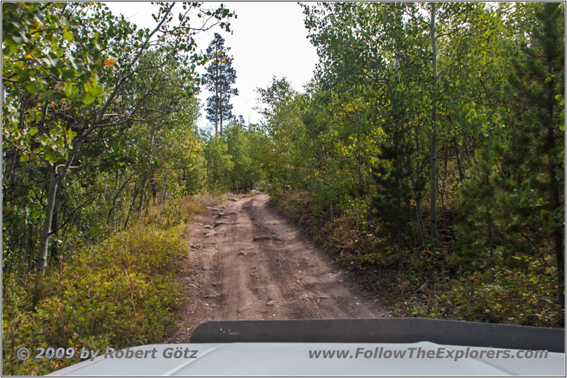 FR352/Indian Trail, Wyoming FR352/Indian Trail, Wyoming