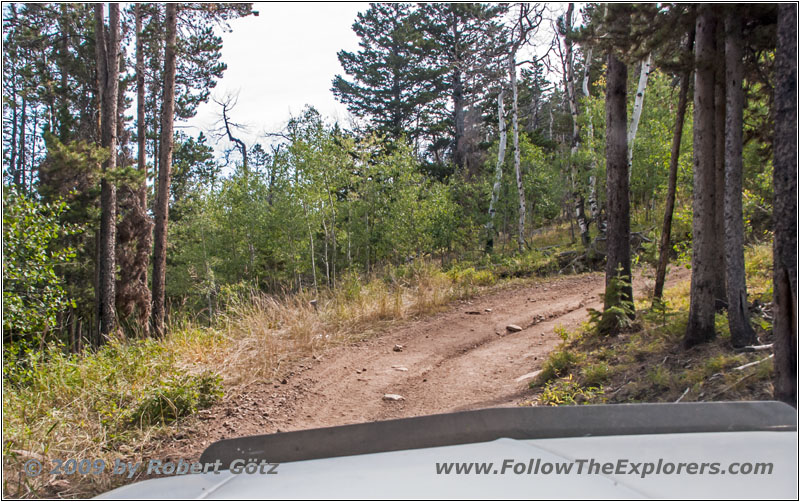 FR352/Indian Trail, Wyoming FR352/Indian Trail, Wyoming