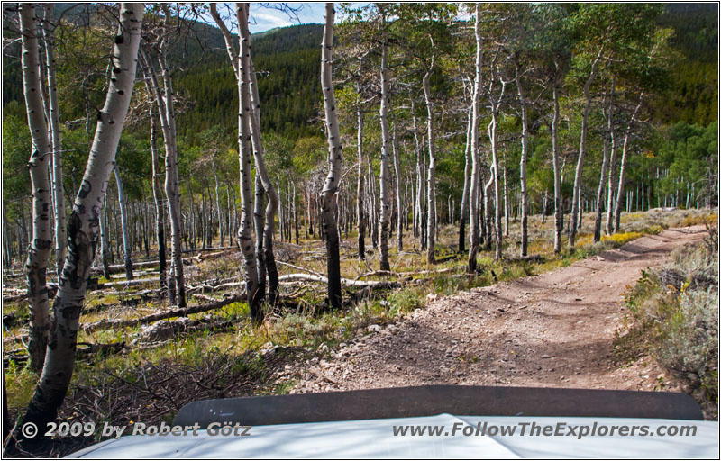 FR352/Indian Trail, Wyoming FR352/Indian Trail, Wyoming