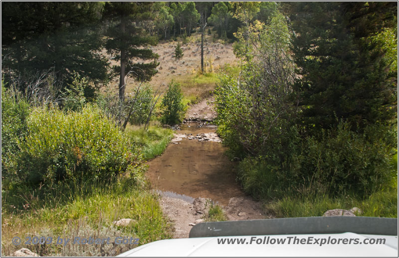 FR352/Indian Trail, Canyon Creek, Wyoming FR352/Indian Trail, Canyon Creek, Wyoming