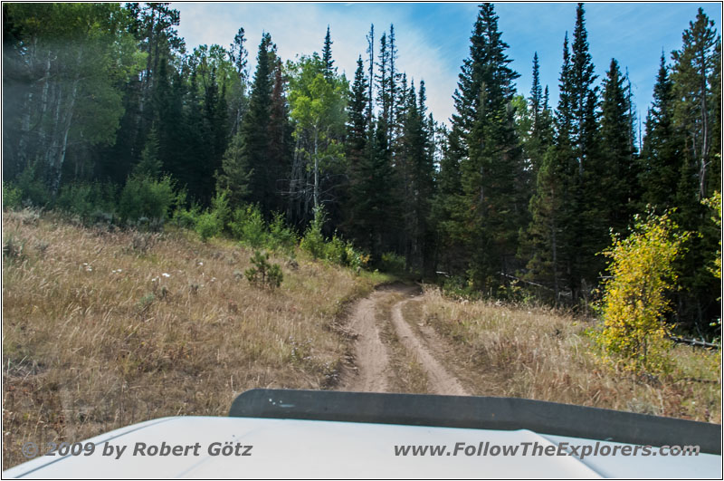 FR352/Indian Trail, Wyoming FR352/Indian Trail, Wyoming