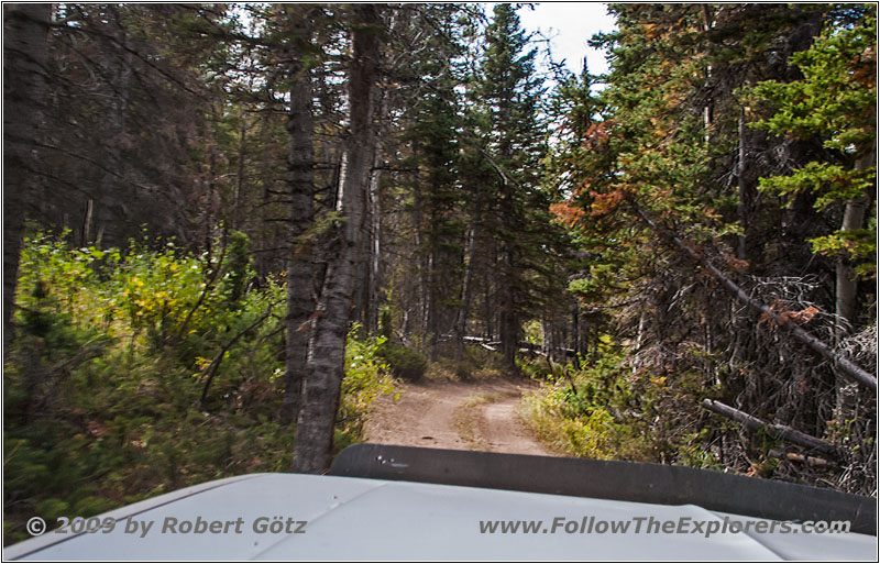 FR352/Indian Trail, Wyoming FR352/Indian Trail, Wyoming