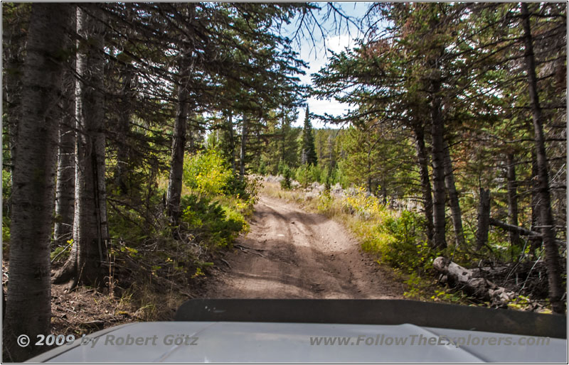 FR352/Indian Trail, Wyoming FR352/Indian Trail, Wyoming