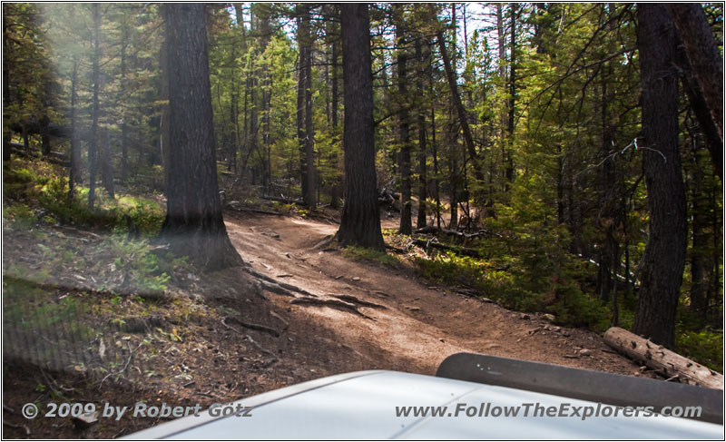 FR352/Indian Trail, Wyoming FR352/Indian Trail, Wyoming