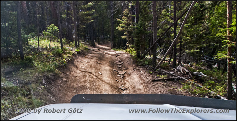 FR352/Indian Trail, Wyoming FR352/Indian Trail, Wyoming