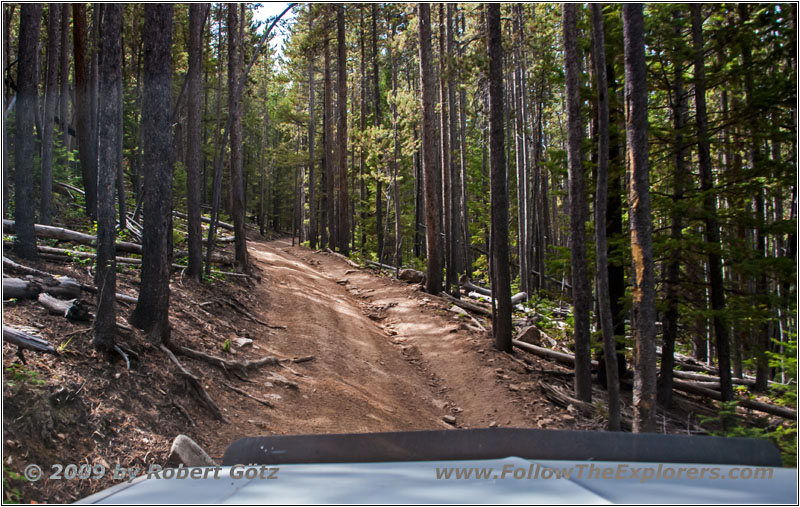 FR352/Indian Trail, Wyoming FR352/Indian Trail, Wyoming