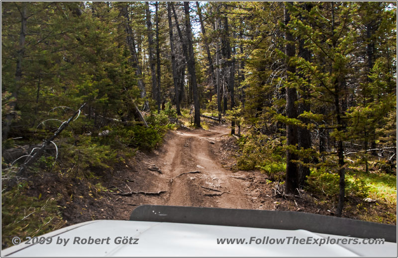 FR352/Indian Trail, Wyoming FR352/Indian Trail, Wyoming