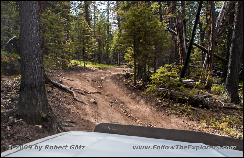 FR352/Indian Trail, Wyoming FR352/Indian Trail, Wyoming