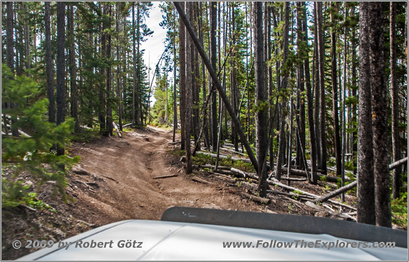 FR352/Indian Trail, Wyoming FR352/Indian Trail, Wyoming