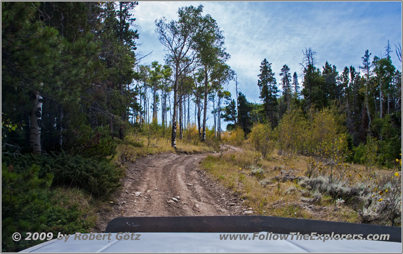 FR352/Indian Trail, Wyoming FR352/Indian Trail, Wyoming