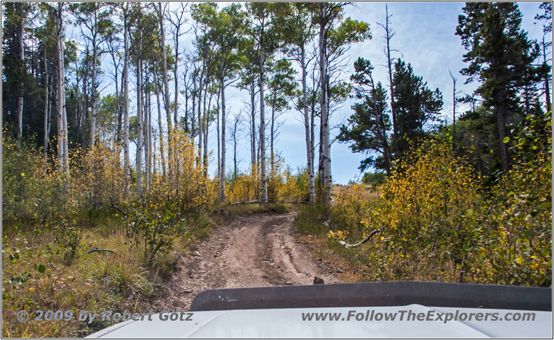 FR352/Indian Trail, Wyoming FR352/Indian Trail, Wyoming