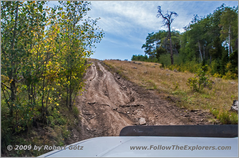 FR352/Indian Trail, Wyoming FR352/Indian Trail, Wyoming