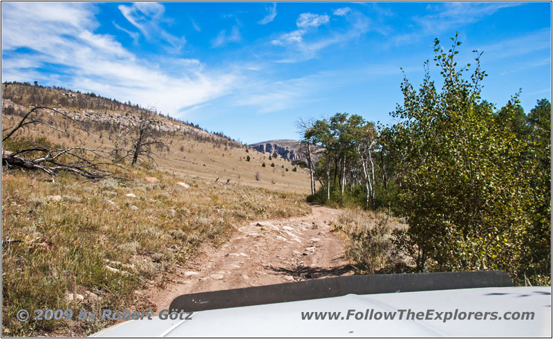 FR352/Indian Trail, Wyoming FR352/Indian Trail, Wyoming