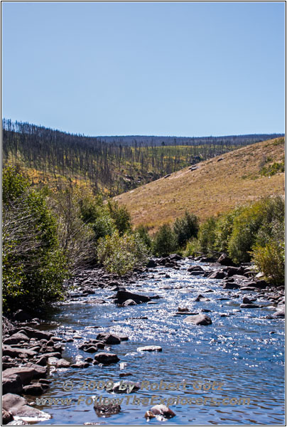 FR352/Indian Trail, Little Popo Agie River, Wyoming FR352/Indian Trail, Little Popo Agie River, Wyoming