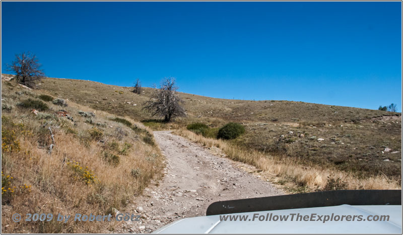 FR352/Indian Trail, Wyoming FR352/Indian Trail, Wyoming