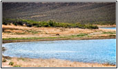 Pronghorn, FR123, Flaming Gorge, Green River, WY