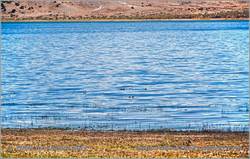 Enten, CR101, Bear River/Woodruff Narrows Reservoir, Wyoming Enten, CR101, Bear River/Woodruff Narrows Reservoir, Wyoming