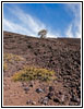 North Crater Trail, Craters of the Moon NM, ID