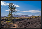 Tree Molds Trail, Craters of the Moon NM, ID