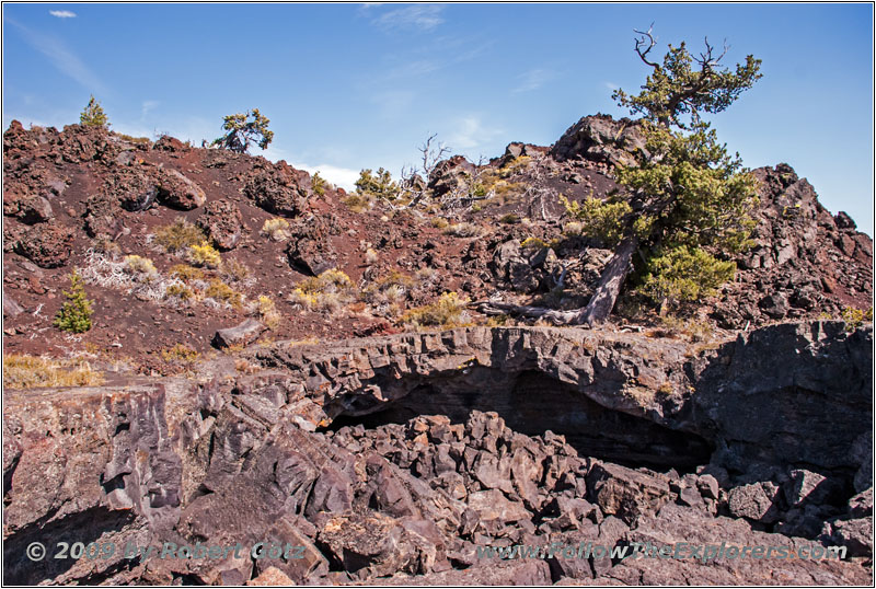 Tree Molds Trail, Craters of the Moon NM, ID