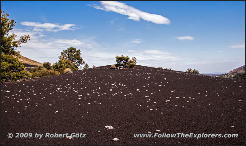 Tree Molds Trail, Craters of the Moon NM, ID