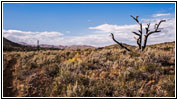 Tree Molds Trail, Craters of the Moon NM, ID